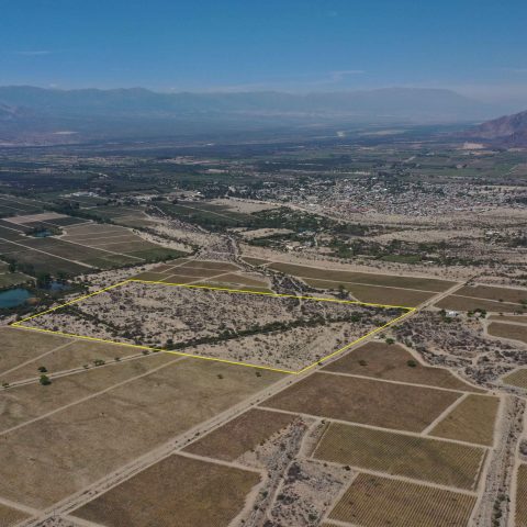 imagen del campo