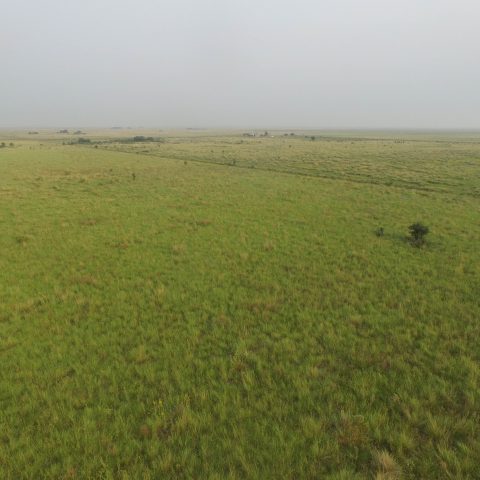 imagen del campo
