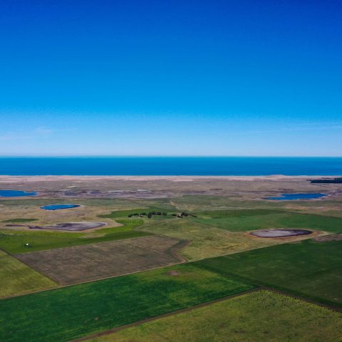 imagen del campo