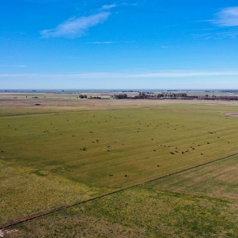 imagen del campo