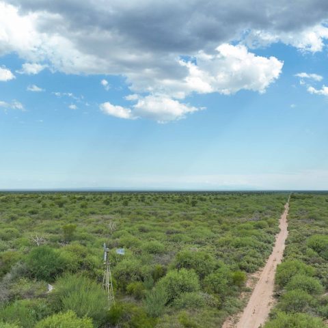 imagen del campo