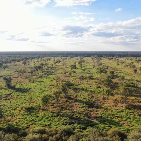 imagen del campo