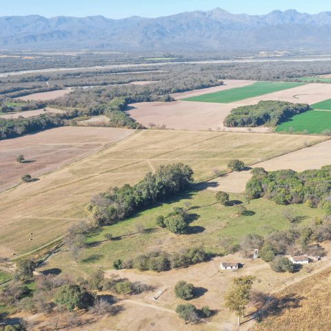 imagen del campo