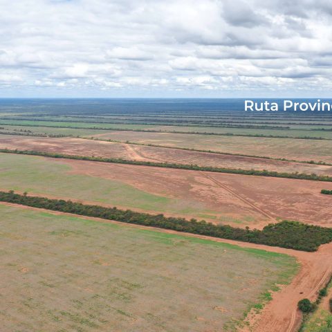 imagen del campo