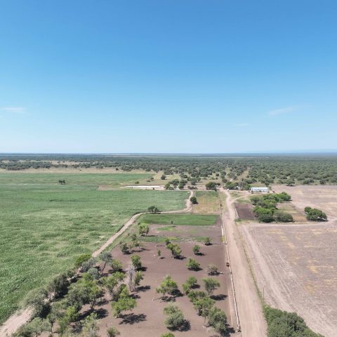 imagen del campo
