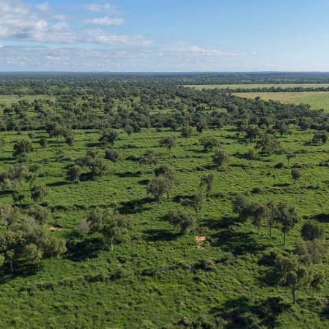 imagen del campo