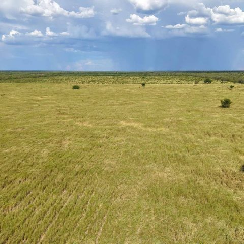imagen del campo