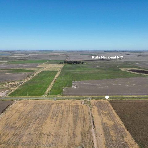 imagen del campo
