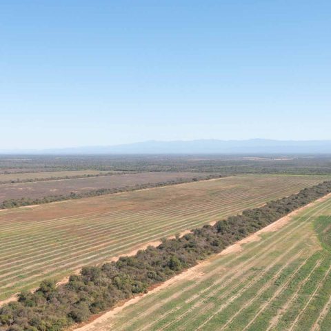 imagen del campo