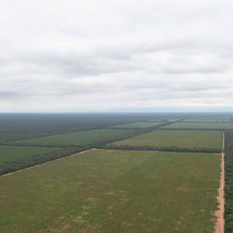 imagen del campo