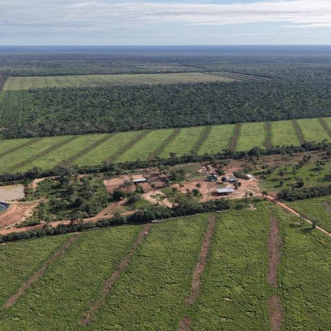 imagen del campo