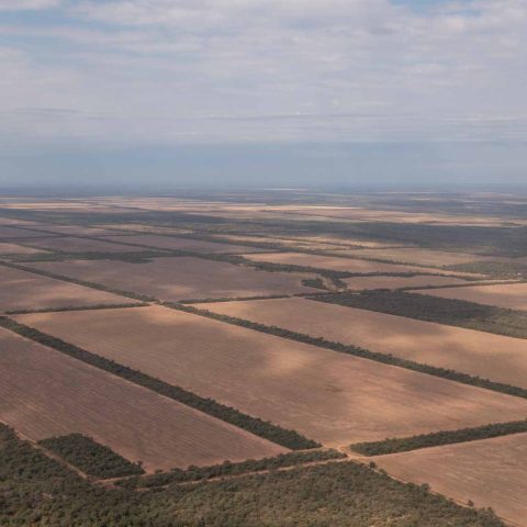imagen del campo