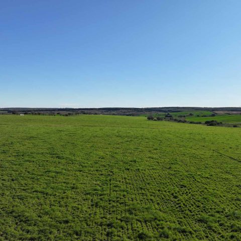 imagen del campo
