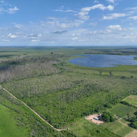 imagen del campo