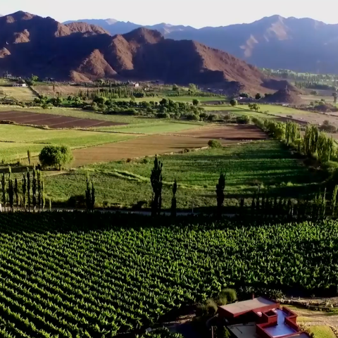 imagen del campo