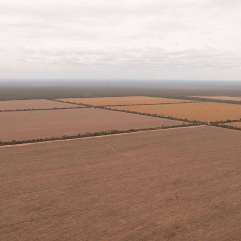 imagen del campo