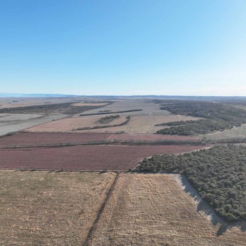 imagen del campo