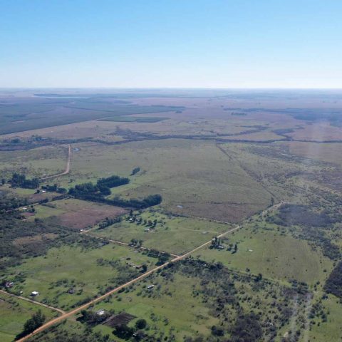 imagen del campo