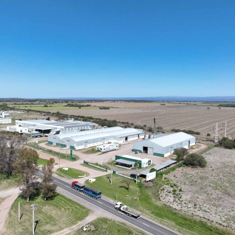 imagen del campo