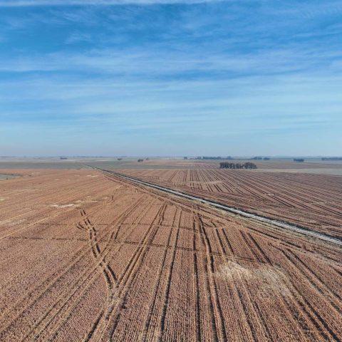imagen del campo